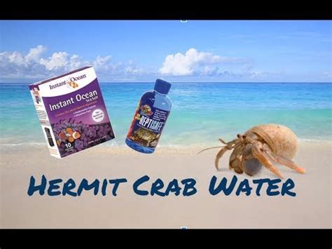 how do you make saltwater for hermit crabs|hermit crab salt water recipe.